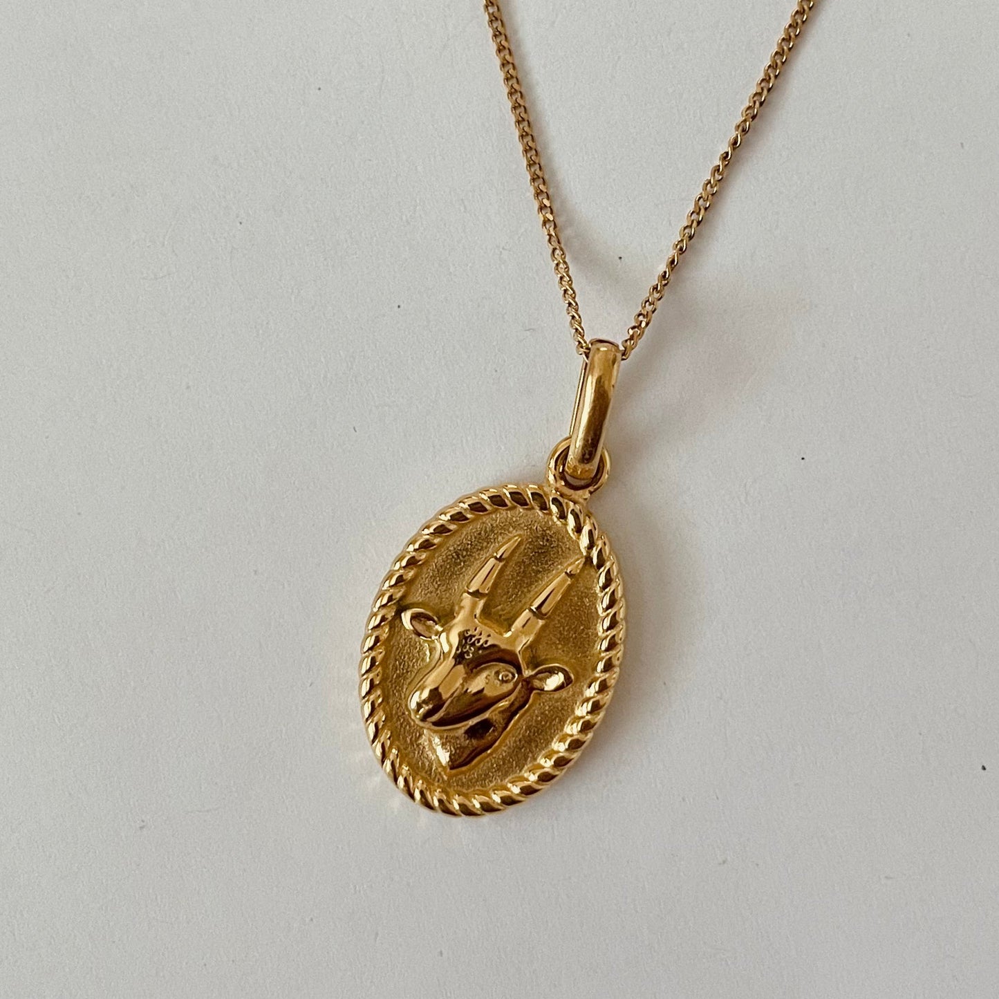 Zodiac 2.0 Necklace - 18k Gold Plated